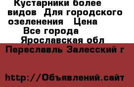 Кустарники более 100 видов. Для городского озеленения › Цена ­ 70 - Все города  »    . Ярославская обл.,Переславль-Залесский г.